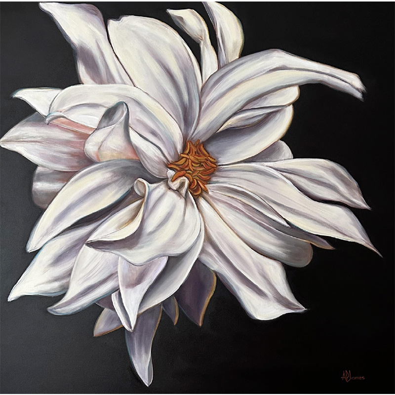 Anne Pollard James - Dahlia in the dark