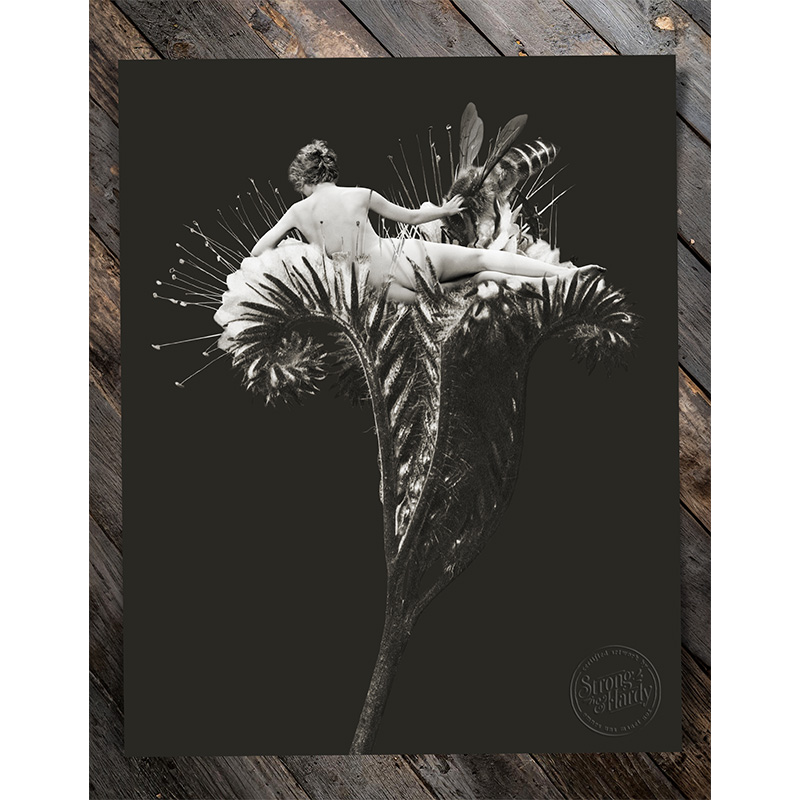 Rebecca Tillett - Body of a Flower: Honeybee