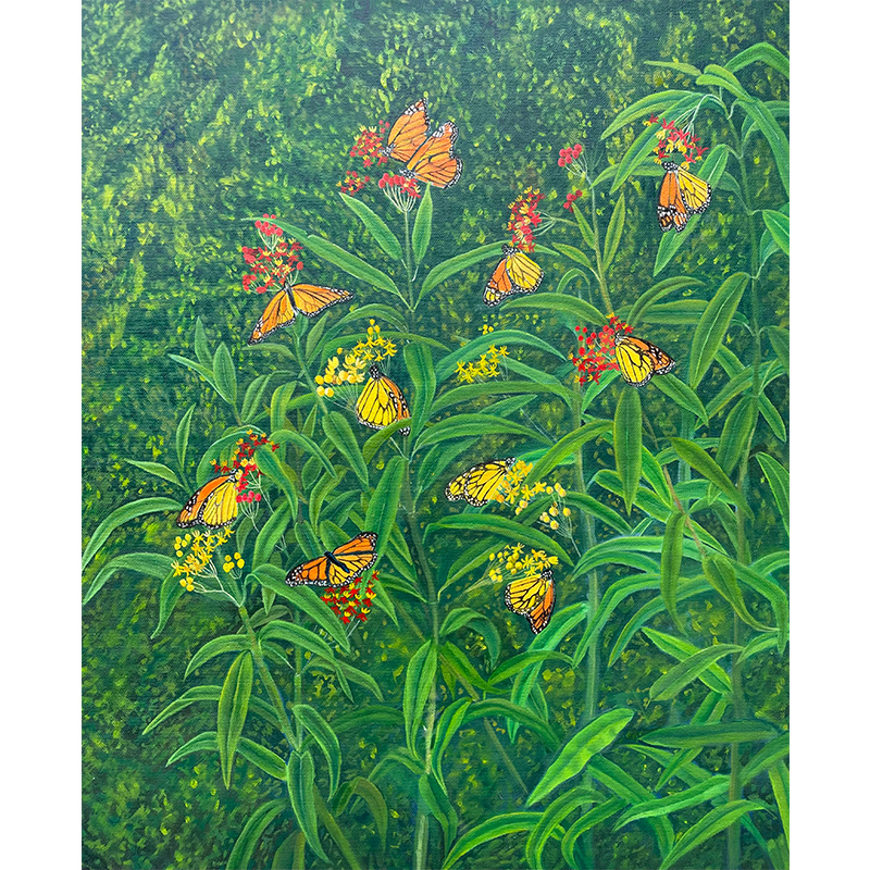 Scott Goodpaster - Monarch Mayhem
